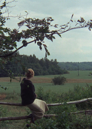 Хрупкий контейнер памяти: сон в позднесоветском кино