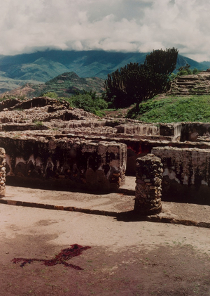След как тело, тело как след: исследование практик Аны Мендьеты