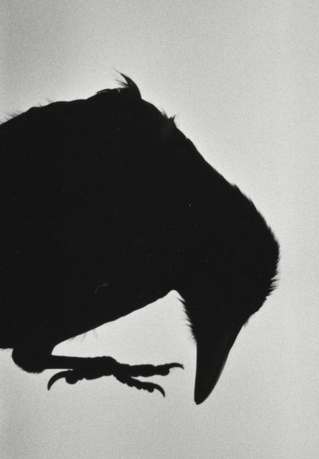 Поток в японской фотокниге