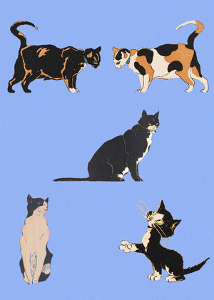 Визуальный образ кошки в рекламно-информационных материалах XIX-XX веков