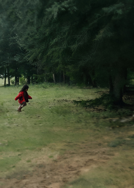 Сущность леса в российском кино 21 века