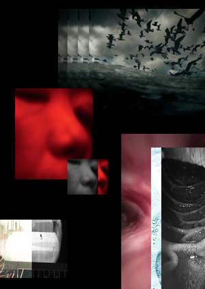 Смещённая перспектива в фильмах Люсьена Кастен-Тэйлора и Вирины Паравел