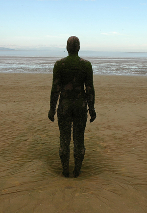 Агентность нечеловеческого: материалы, среды и процессы как искусство