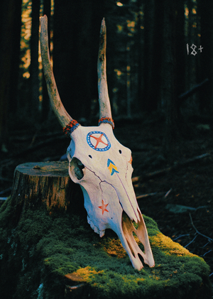 Фолк-хоррор: образ языческой символики