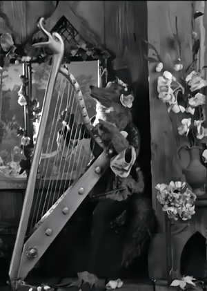 Владислав Старевич — наследие мировой stop-motion анимации