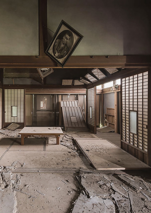 Влияние сейсмического фактора на формирование интерьера Японии и Индонезии