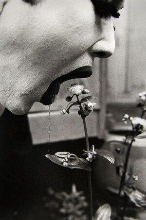 Экзистенциализм в японской фотографии ХХ века