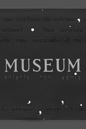 Трансформация языка институциональной критики к вопросам расы и культуры