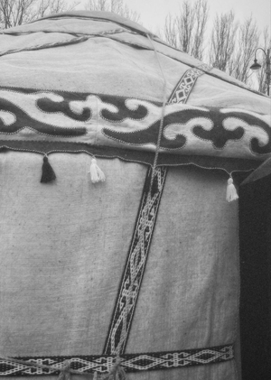 Живой орнамент: эволюция визуального кода