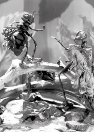 Творческое наследие Владислава Старевича