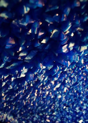 Архивы не-человеческого: Пейзаж как со-автор