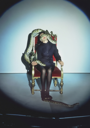 Эволюция роли животного в практике современного искусства