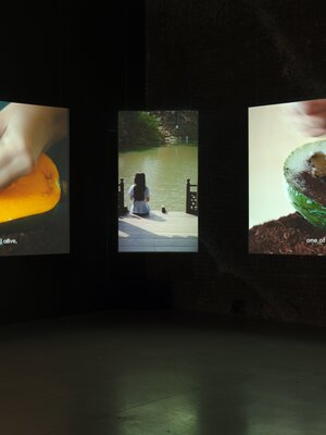 Деколониальная стратегия в творчестве Фан Тхао Нгуен 