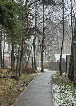 Звуки как мост между домом и природой