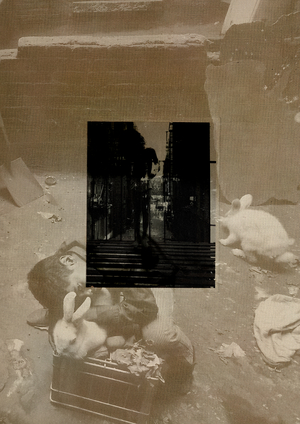 Урбанистический код Гарлема в «East 100th Street»