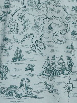 Изображение морских чудовищ на картах Эпохи Великих географических открытий