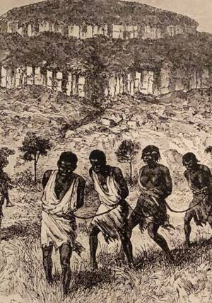 Museum of London Docklands. Колониальное наследие Лондона. 