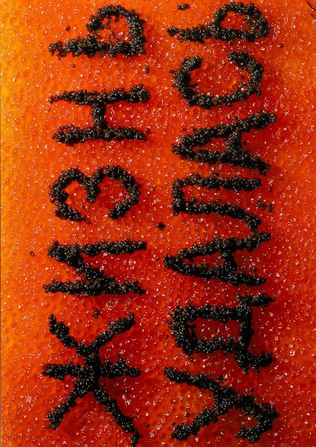 Мимикрия искусства и дизайна в работах российских авторов 