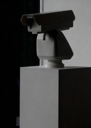 Институциональная критика в современном китайском искусстве