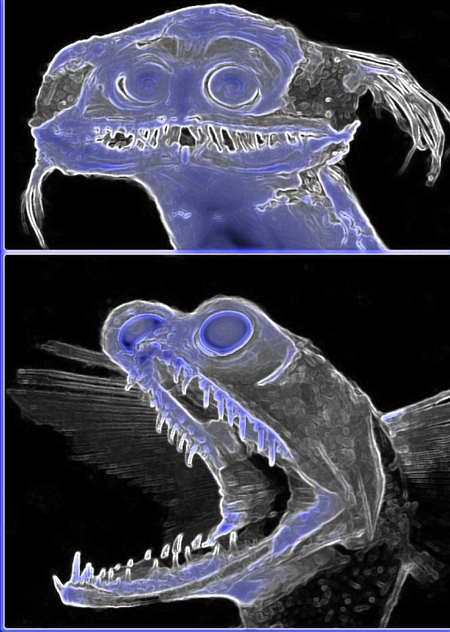 Образ морских чудовищ на картах: их значение для мореплавателей