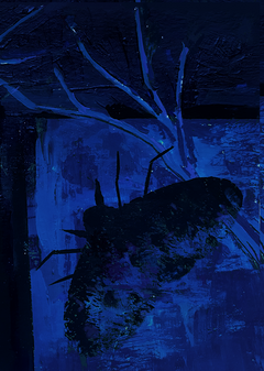 Ночной город