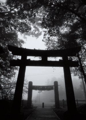 Память пустоты: тишина как способ быть