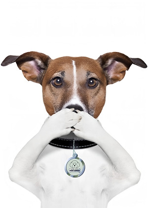 Эволюция технологий создания «говорящих собак» в кино