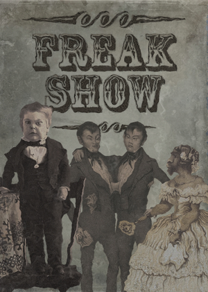 Визуальные стратегии репрезентации артистов фрик-шоу в Америке XIX века 