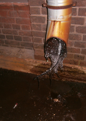 ‿︵‿︵‿︵‿︵‿︵‿︵водный саундскейп петербурга‿︵‿︵‿︵