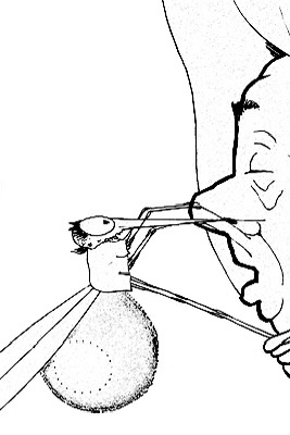 Визуальный стиль Уинзора Маккея в ранней анимации