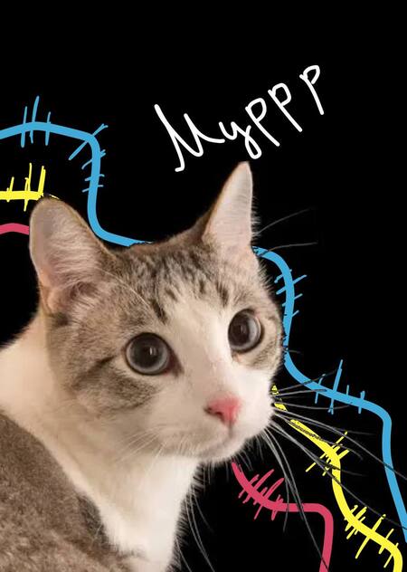 Воздействие кошачьего мурлыканья на человека