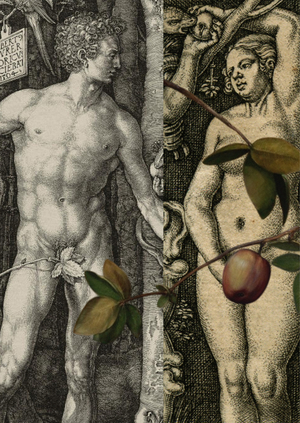 Изображение человеческого тела в работах Дюрера и последователей