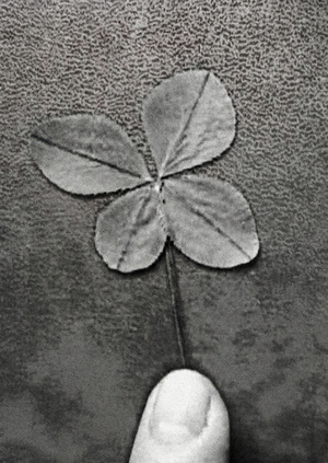 Субъект без лица