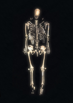 Сложить кости: о проблеме перемещения человеческих останков