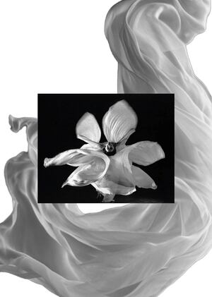 Материал - новый герой представления