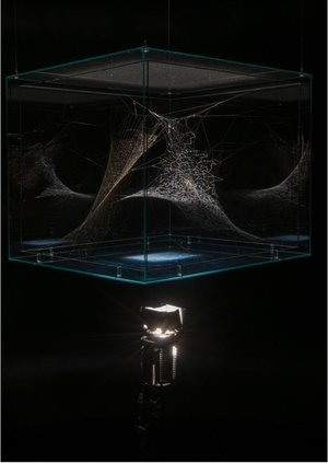 Паутина как нечеловеческая архитектура