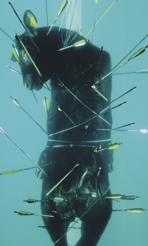 Разложение живых организмов как мотив в современном искусстве