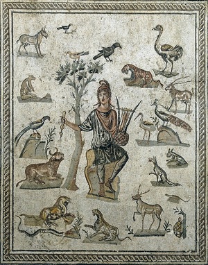 Консонанс и диссонанс в музыкальных трудах: от прошлого к настоящему