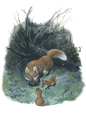 Анималистический образ в работах Е.Чарушина