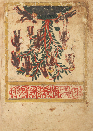 The Book of Curiosities: организация знания в исламской картографии