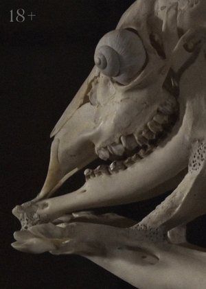 Бестиарий Яна Шванкмайера: между жизнью и смертью