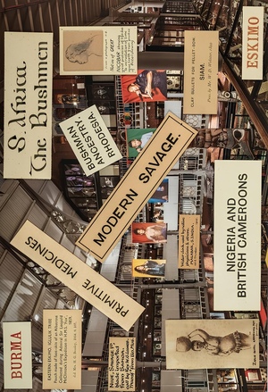 Язык как деколониальная стратегия: анализ ревизии терминологии