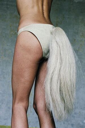 Институциональная критика как стратегия художественного высказывания в моде