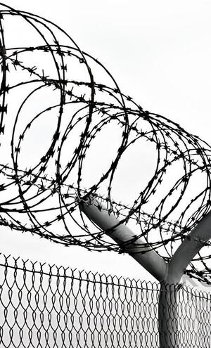 Между Западом и Востоком: Эмигранты-Возвращенцы и Сталинская Реальность 