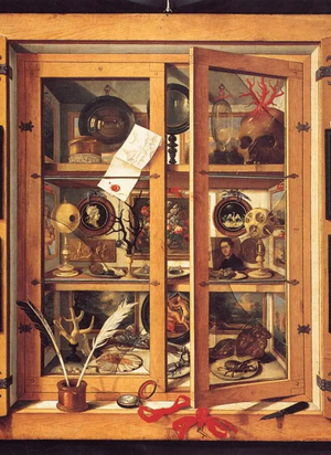 Специфика кабинетов редкости