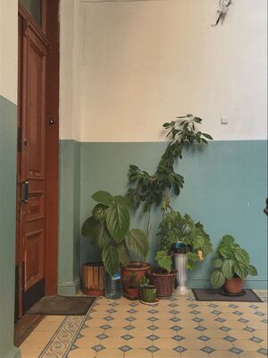 Подъезды. Историко-социальный контекст