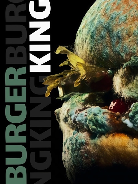 Анализ провокационного маркетинга «Burger King»