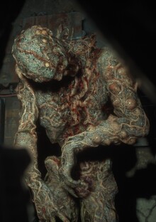 Заключение