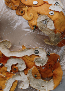 Несовершенства кожи