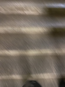 pixel flesh pixel flesh